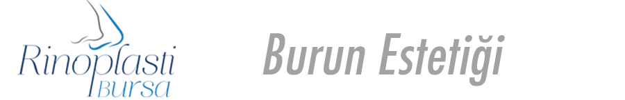Burun Estetiği